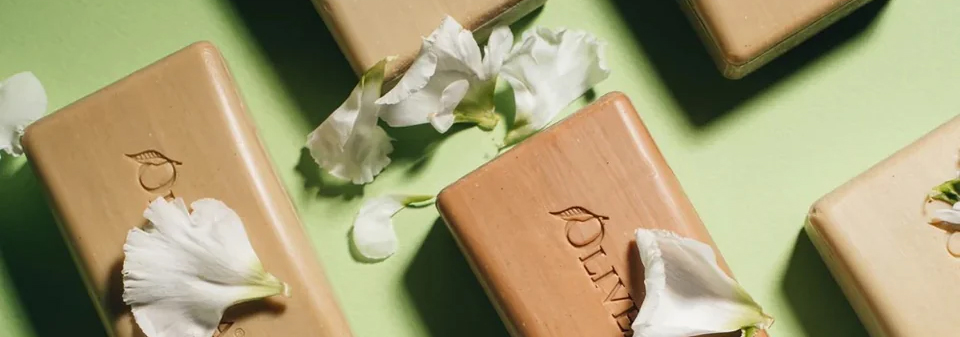 Rifiorire in bellezza